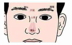 顺顺利利指什么生肖