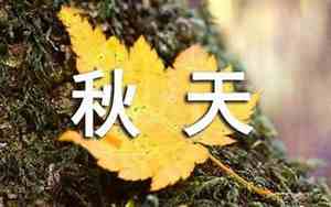形容秋天枫叶的句子