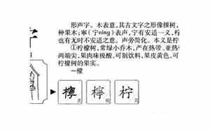 起名柠字的含义