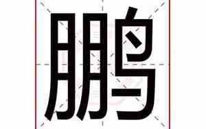 鹏字取名的寓意男孩