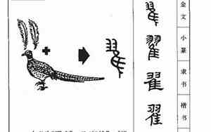 翟字取名的寓意和含义