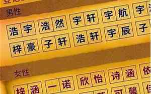 袁字取名字女孩