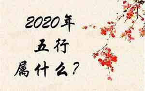 2020年五行属什么命非常准