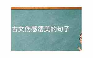 古文伤感的句子经典