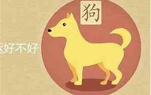 2017年是什么命五行属什么命