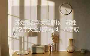 苏取名字