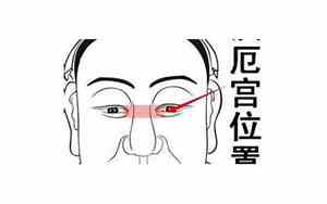看面相算命的准吗