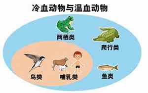 冷血动物的体温是随着外界的变化吗