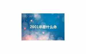 2001年是什么命五行属什么命