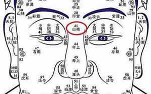 面相狡诈之人什么意思女生