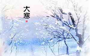 大寒有几天时间