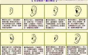 牛耳朵形状