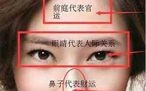 面相图女生