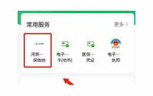 微信医保缴费怎么交2024年的