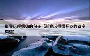 形容玩的开心句子,文雅点