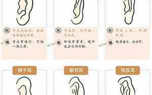 面大耳小的男人
