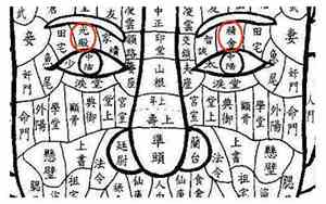 面相精舍和光殿暗黑是怎么了