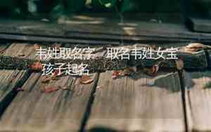 韦怎么取名字有意义