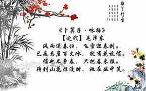古诗词中带新的句子摘抄