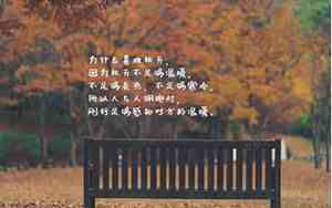 秋天的句子大全50字左右一年级