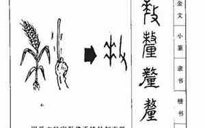 厘起名