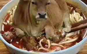 牛肉面没牛肉搞笑句子图片