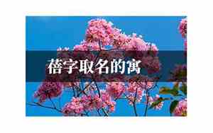 蓓字取名的寓意