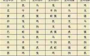 1999年什么命五行属性