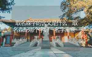 森字取名好不好!