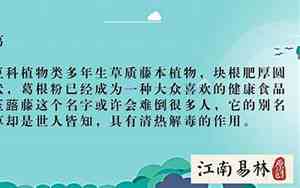 荨取名字代表什么意思