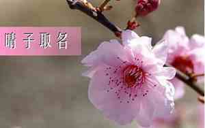 过姓取名二字大全