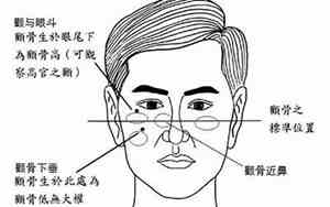 颧骨突出的人命运