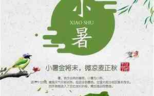 形容夏日消暑的句子唯美