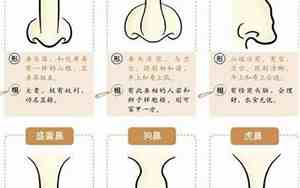 面相鼻翼叫什么名字女