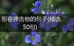 弹吉他的优美句子简短