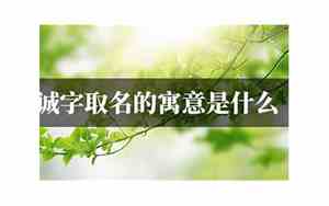 诚字取名的寓意