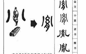 胤字取名的寓意