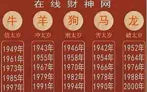 2016年是什么命金木水火土