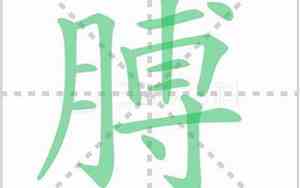 膊组词两个字