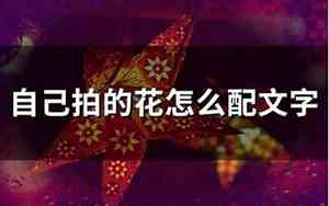 自己拍的花怎么配文字花开的句子