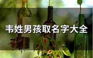 韦姓取名字大全男孩