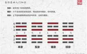 卦中的爻怎样起