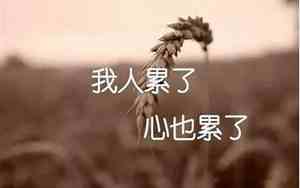 累的要死要活的句子图片