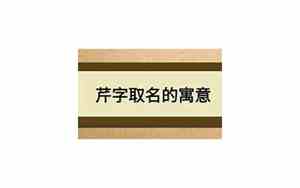 芹字寓意