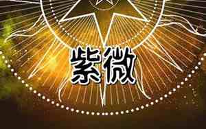 兄弟宫代表什么意思