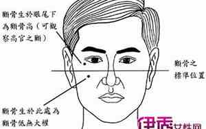 颧骨高面相男生命运怎么样