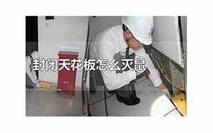 封闭式天花板有老鼠怎么办