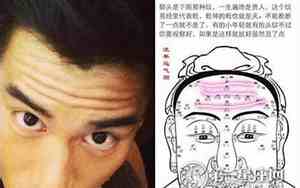 后脑品字骨