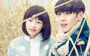 十五年等待候鸟的经典语录