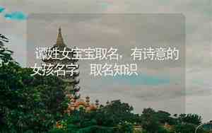 谭姓女宝宝取名字独一无二